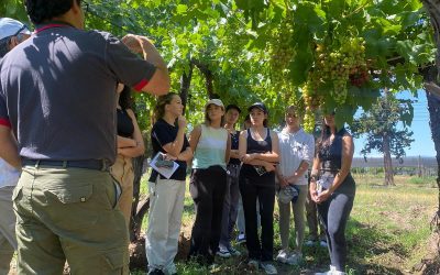 VENDIMIA: LAS FLAMANTES REPRESENTANTES DISTRITALES COMENZARON LAS CAPACITACIONES