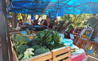 LOS MEJORES PRODUCTOS PARA LAS FIESTAS LOS ENCONTRÁS EN LA FERIA FRANCA