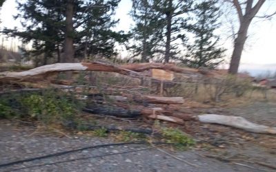 SE MANTIENE LA SUSPENSIÓN DE LA FIESTA DEL PUESTERO EN EL SOSNEADO
