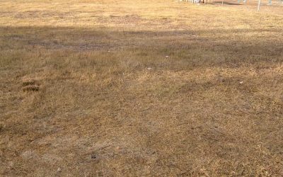 TRAS EL MULTITUDINARIO PERICÓN, ASÍ QUEDÓ EL BAJO DEL FUERTE DE LA VILLA