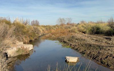 LOS DOS ÁLAMOS: EL MUNICIPIO CONSTRUIRÁ UN PUENTE PEATONAL PARA QUE LOS VECINOS NO CRUCEN POR EL RÍO