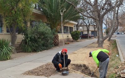 COMENZÓ UNA NUEVA TEMPORADA DEL PLAN DE FORESTACIÓN EN SAN RAFAEL