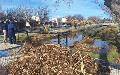 EL MUNICIPIO COLABORA CON IRRIGACIÓN PARA DESOBSTRUIR EL DESBORDE EN EL CANAL CERRITO
