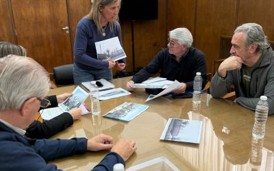 EL MUNICIPIO EN ALERTA POR LA MUTILACIÓN ILEGAL DE ÁRBOLES ANTE LA INACCIÓN DE RECURSOS NATURALES DE LA PROVINCIA