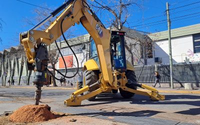AVANZA EL PLAN MUNICIPAL DE FORESTACIÓN Y DESTOCONADO DE VIEJOS EJEMPLARES