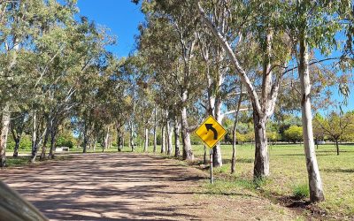 LICENCIAS DE CONDUCIR: CIRCUITO PARA PRINCIPIANTES EN PARQUE PERÓN