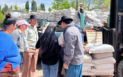 EL MUNICIPIO APORTA FORRAJE PARA APOYAR A LOS PRODUCTORES DEL SECANO