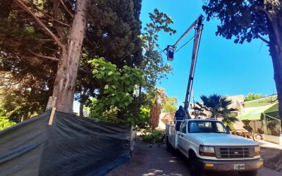 TRABAJOS PARA RENOVAR LA PLAZA RAMÓN RUIZ DE ATUEL NORTE