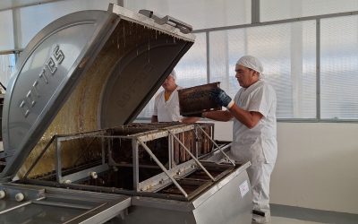 COMENZÓ LA TEMPORADA DE EXTRACCIÓN EN LA SALA COMUNITARIA DE MIEL