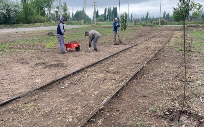 CUADRO BENEGAS: NIVELACIÓN Y FORESTACIÓN EN EL PROYECTO DEL PARQUE LINEAL