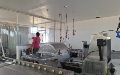 TODO LISTO PARA EMPEZAR UNA NUEVA TEMPORADA EN LA PLANTA DE EXTRACCIÓN DE MIEL