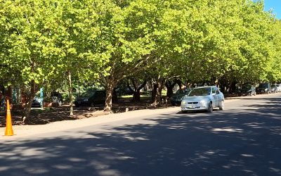 EL MUNICIPIO Y ESCUELAS DE MANEJO FIRMARON ACUERDOS PARA UTILIZAR EL CIRCUITO DE PARQUE NORTE