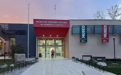 NUEVA FECHA PARA LA EXPERIENCIA NOCTURNA EN EL MUSEO DE HISTORIA NATURAL