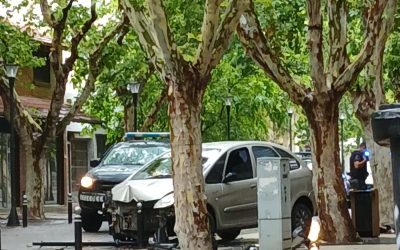 CONDUCTOR DEBERÁ PAGAR GRAVES DAÑOS QUE PROVOCÓ EN EL PASEO PELLEGRINI