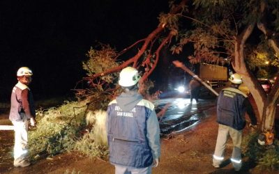EQUIPOS MUNICIPALES TRABAJARON DURANTE TODA LA NOCHE PARA MITIGAR LAS AFECCIONES CAUSADAS POR LA TORMENTA