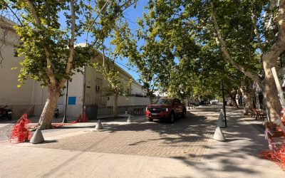 QUEDÓ HABILITADO AL TRÁNSITO EL ADOQUINADO DE LA 1ERA CUADRA DE CALLE ALMAFUERTE