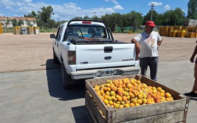 PRODUCTORES SANRAFAELINOS: “SIN LA PULPERA NO TENDRÍAMOS DONDE LLEVAR NUESTRA FRUTA”