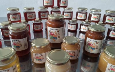 APOYO A LA PRODUCCIÓN: LA SALA MUNICIPAL AVANZA CON PRUEBAS DE FRACCIONAMIENTO DE MIEL EN PEQUEÑA ESCALA