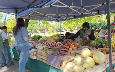 ÉPOCA DE SALSAS Y CONSERVAS: FRUTAS Y VERDURAS LOCALES AL MEJOR PRECIO EN LA FERIA FRANCA MUNICIPAL