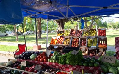 LA FERIA FRANCA MUNICIPAL LLEGARÁ CON EL PROGRAMA DE PESCADO A LOS DISTRITOS