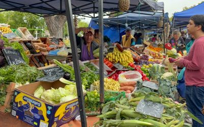 LA FERIA FRANCA MUNICIPAL SUMA UN NUEVO PUNTO DE ATENCIÓN EN PLAZA LIBERTAD