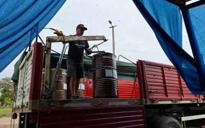 SALA MUNICIPAL DE EXTRACCIÓN DE MIEL: YA SE EXPORTARON MÁS DE 17 TONELADAS