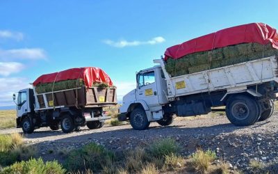 APOYO Y ASISTENCIA DEL MUNICIPIO DE SAN RAFAEL A LOS PUESTEROS DEL SECANO