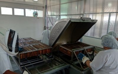 LA SALA MUNICIPAL DE EXTRACCIÓN PROCESÓ MÁS DE 31 TONELADAS DE MIEL Y EL 65% DE LA PRODUCCIÓN SE EXPORTÓ