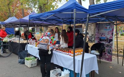 ESCUELAS AGROTÉCNICAS EN LA FERIA FRANCA: “NOS PERMITE COMERCIALIZAR Y CONOCER LAS DEMNADAS DEL MERCADO”