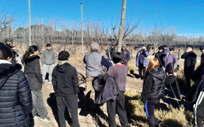 CIENTOS DE SANRAFAELINOS SE CAPACITARON EN EL CICLO DE PODA DE VID Y FRUTALES