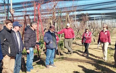 EL MUNICIPIO ACOMPAÑÓ A LA ESCUELA DE LA GUEVARINA EN UNA NUEVA EDICIÓN DE SU TRADICIONAL CONCURSO DE PODA