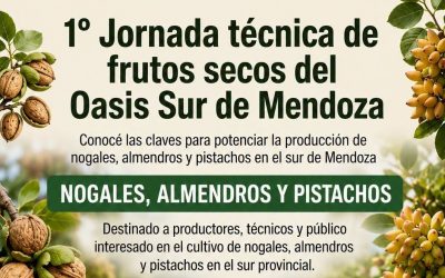 TODO PREPARADO PARA LA PRIMERA JORNADA DE FRUTOS SECOS DEL OASIS SUR