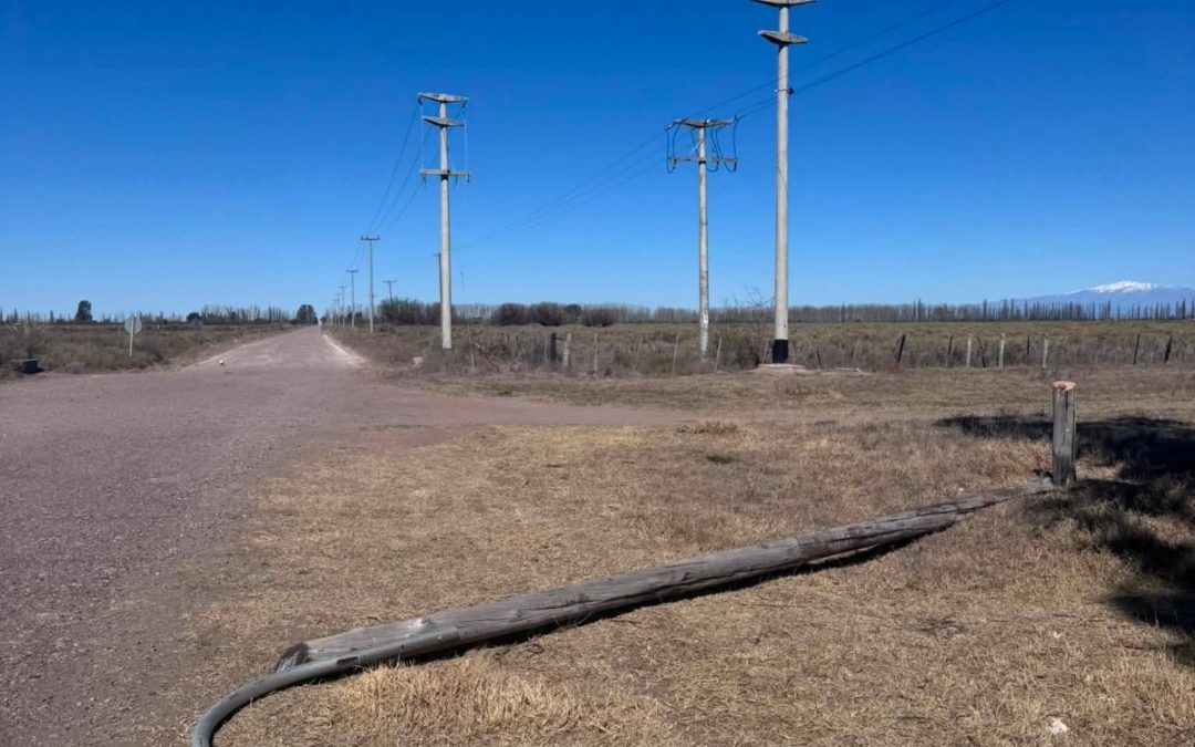 INCREÍBLE: USARON UNA MOTOSIERRA PARA TIRAR ABAJO UN POSTE Y ROBARSE UNA LUZ LED EN JAIME PRATS