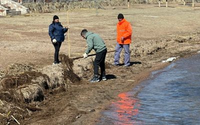IMPORTANTE OPERATIVO DE LIMPIEZA EN LA COSTANERA Y LA PLAYA DE EL NIHUIL
