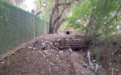 EL MUNICIPIO SOLICITÓ A HIDRÁULICA E IRRIGACIÓN EL URGENTE MANTENIMIENTO DE LOS COLECTORES DE RAWSON, TIRASSO, ALBERDI Y SUETA